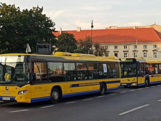 1 listopada autobusami pojedziemy za darmo. Sprawdź dodatkowe linie