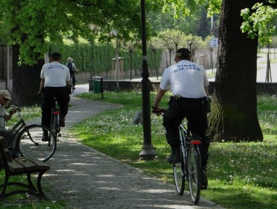 16 wierszyków o Straży Miejskiej. Wybierz najlepszy