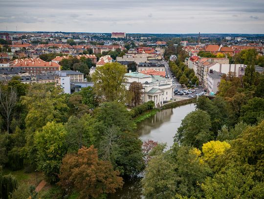 19 NOWYCH ofert pracy. KALISZ i okolice