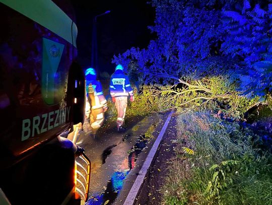 200 interwencji straży pożarnej. Nadeszła zmiana pogody