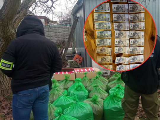 26 milionów strat. 19 członków gangu w  Kaliszu