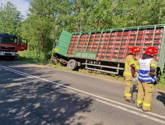 Chwila nieuwagi? Ciężarówka z gęsiami wypadła z drogi