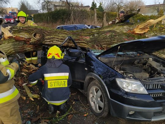 3 osoby ranne, tysiące interwencji straży. Skutki wichury  w Wielkopolsce