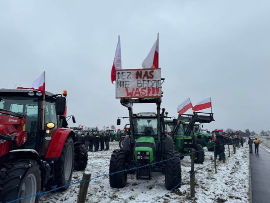 "Walczymy nie tylko o rolnictwo!" Co mówią protestujący rolnicy? WIDEO