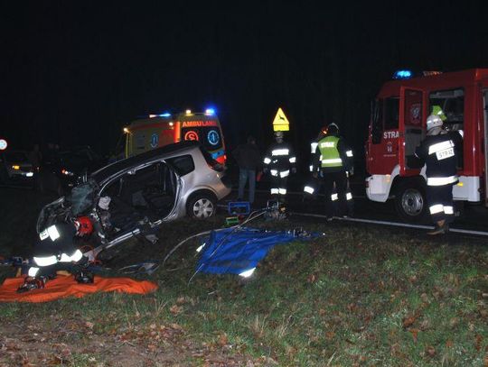 40-letnia kaliszanka zginęła w Gołuchowie ZDJĘCIA