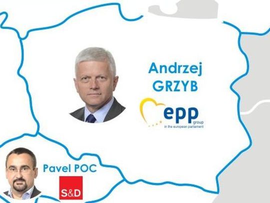 Andrzej Grzyb najbardziej wpływowym polskim posłem w Komisji Środowiska PE