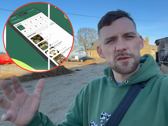 "Apka" z Wielkopolski podbija sieć! Popularniejszy jest tylko ChatGPT