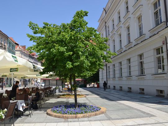 Architekci na start. W grudniu poznamy koncepcję rewitalizacji śródmieścia