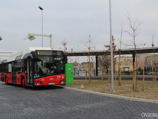 Atak nożownika w Ostrowie? Ofiara z raną ciętą szyi