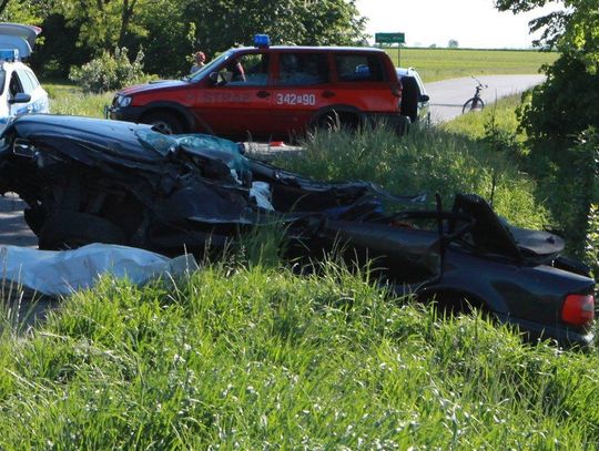 Audi uderzyło w drzewo. Kierowca nie żyje ZDJĘCIA