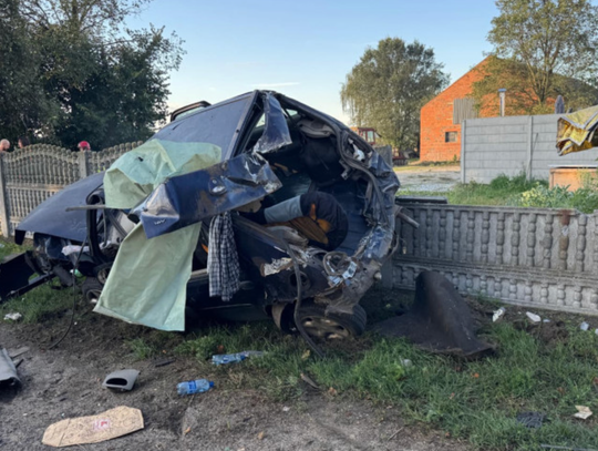 Auto zatrzymało się na płocie. Kierowca wypadł z pojazdu