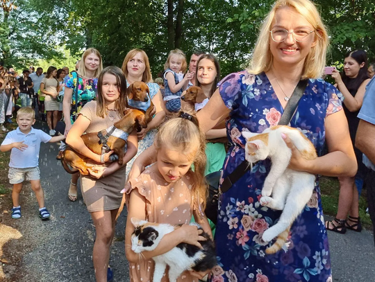 Będą błogosławić zwierzęta w Kaliszu!