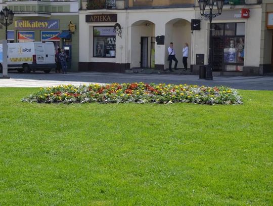 Będą głębokie wykopy na rynku. Czego szukają archeolodzy?