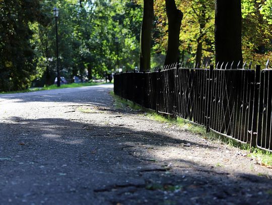 Będzie ładniej! Niebawem rusza rewaloryzacja Parku Miejskiego