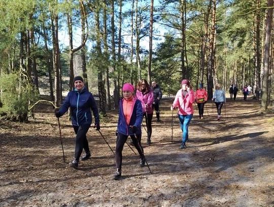 Bezpłatne zajęcia nordic walking dla amatorów