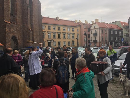 Błogosławieństwo zwierząt w Kaliszu ZDJĘCIA