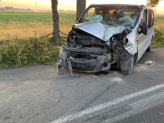 Busem w drzewo. Kierowca kompletnie pijany