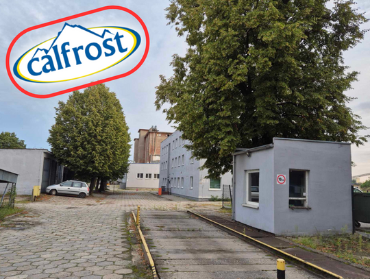 Calfrost Kalisz do wyburzenia? Deweloper stawia warunki