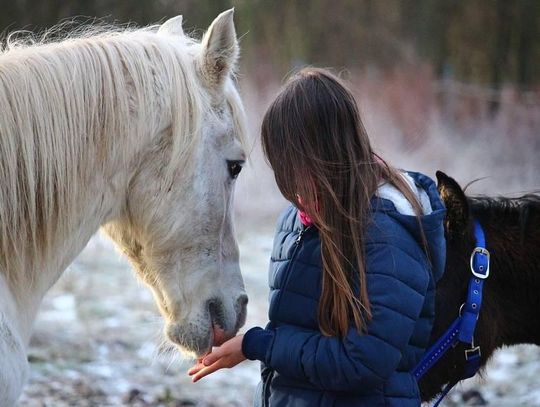 Chciał uniewinnienia. Usłyszał wyższy wyrok, niż w pierwszej instancji