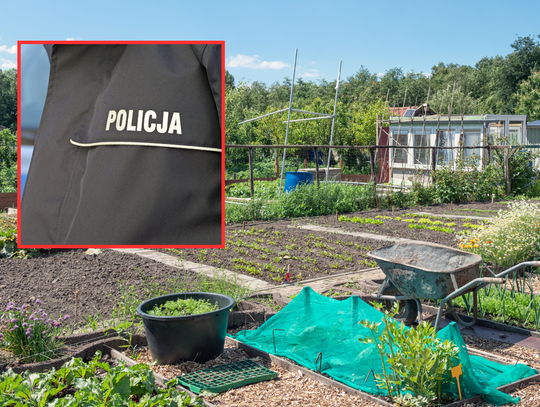 ,,Chciałbym kogoś zabić''. Nietypowa interwencja na terenie ogródków działkowych ,,Chciałbym kogoś zabić''. Nietypowa interwencja na terenie ogródków działkowych