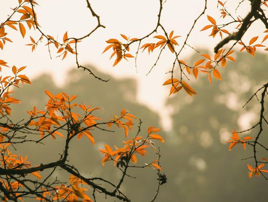 Chłodno, pochmurno i z deszczem. Prognoza pogody na weekend