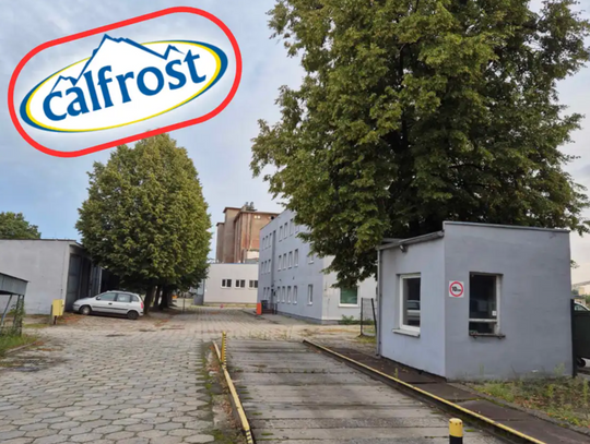 Co dalej z Calfrostem? Rozmawiamy z ukraińskim właścicielem