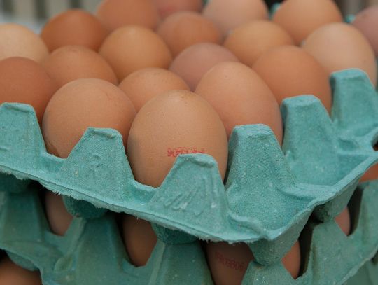 Colian, jako pierwsza polska firma, wycofał z produkcji jaja z chowu klatkowego