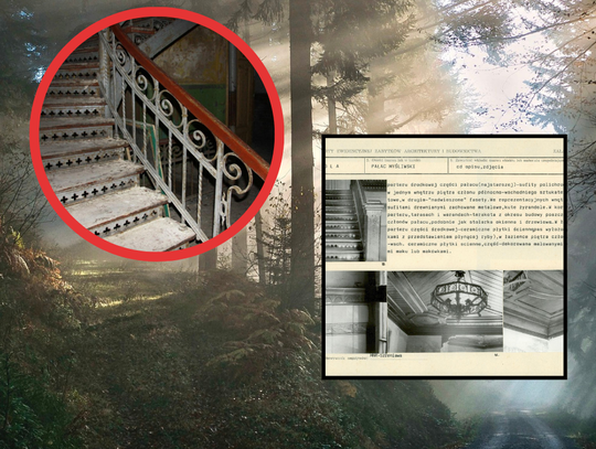 Cudo architektury ukryte w LESIE! Przyciąga ciekawskich z całego kraju ZDJĘCIA