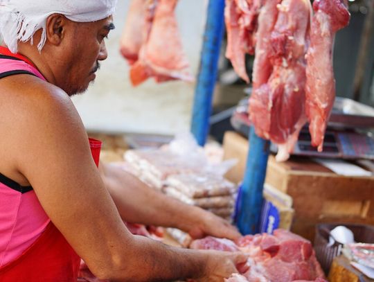 Cudzoziemcy w Polsce na legalu. Tu pracują i tu płacą podatki
