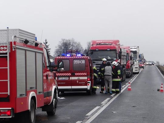 Czołowe zderzenie we Florentynie ZDJĘCIA