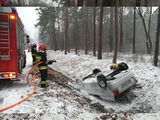 Dachowanie w Konarzewie ZDJĘCIA