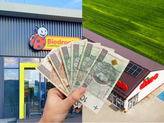 Dino czy Biedronka? Która sieć marketów najbogatsza?
