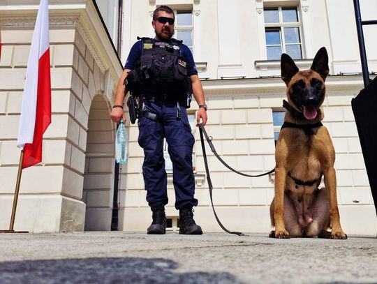 Do policyjnego patrolu podbiegł PIES. Jego właściciel ma teraz problemy