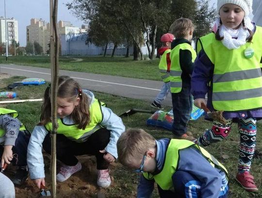 Dobrzec się zazielenił ZDJĘCIA