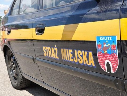 Dodatkowy patrol będzie pilnował porządku w mieście