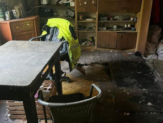 DRUGI RAZ w tym samym miejscu. Te zwierzaki żyły w skrajnym zaniedbaniu