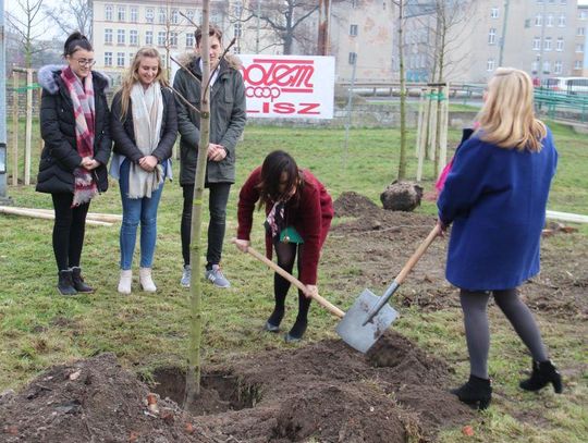 Drzewa na jubileusz „Społem” ZDJĘCIA