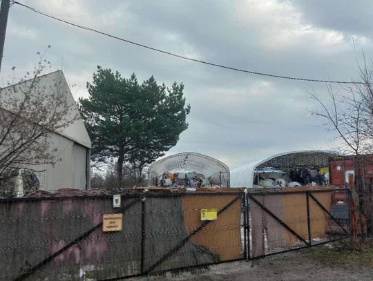 Duża akcja służb pod Kaliszem. W tym miejscu odkryto zwierzęta w dramatycznych warunkach