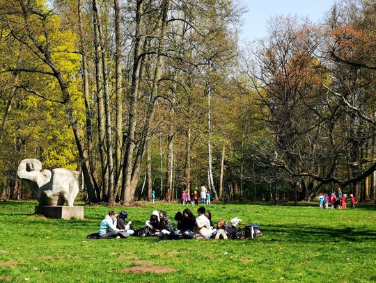 Duże inwestycje w Parku Miejskim. Jest już przetarg