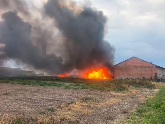 Duży POŻAR tuż za Kaliszem! Dym widoczny z kilku kilometrów
