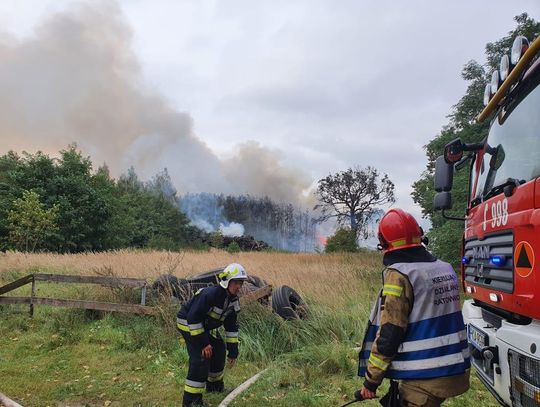 Duży pożar w Ksawerowie. W akcji ponad 20 zastępów straży ZDJĘCIA