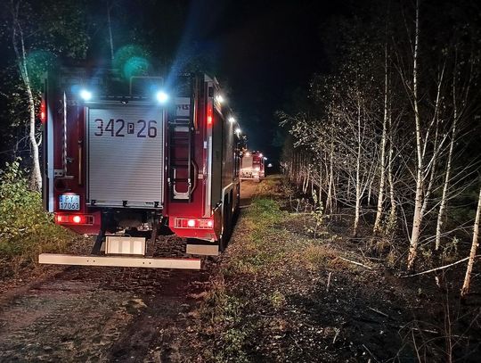 Dwa duże pożary w powiecie. Czy to ,,sprawka" człowieka?