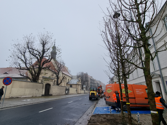 Dwa pasy ruchu, ścieżka rowerowa, nowe drzewa. Tak zmieniła się ul. Śródmiejska