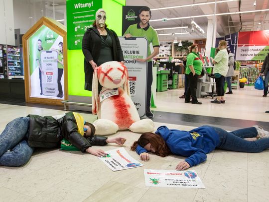 "Dzień hańby dla wspólników Putina". Protest przed Leroy Merlin i Auchan