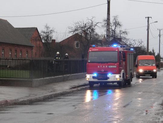 Dziesiątki domów bez prądu, powalone drzewa. To bilans dzisiejszej nocy