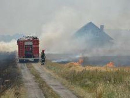 Fala pożarów w regionie