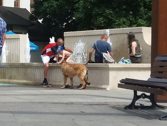 Fontanna jak miejska łaźnia? Tak przestrzegają zakazu kąpieli ZDJĘCIA