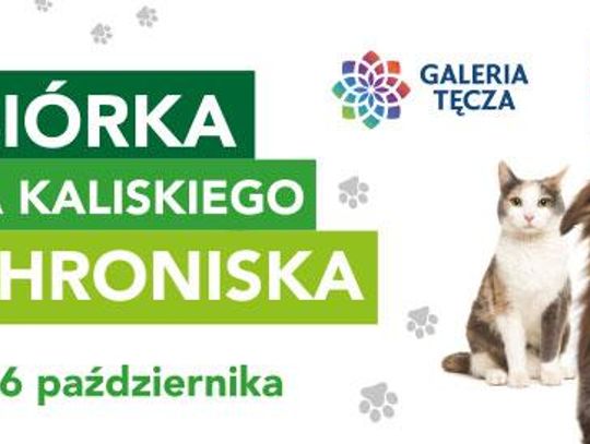 Galeria Tęcza wspiera kaliskie schronisko i zaprasza do zbiórki darów dla zwierzaków