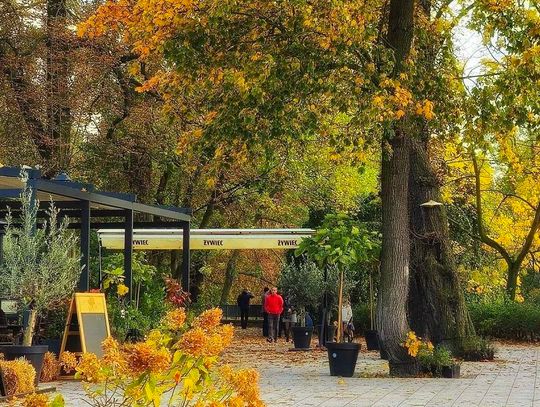 GIEŁDA pracy. Kalisz i okolice