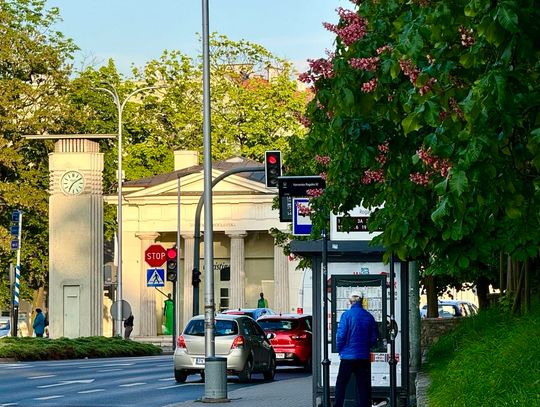 Giełda pracy KALISZ I OKOLICE - 24 oferty